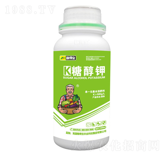 �Ǵ��-�ڵÌ�����