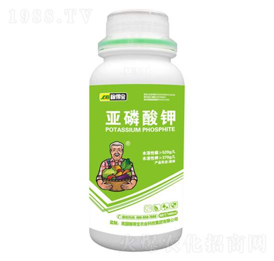 �������-�ڵÌ�����