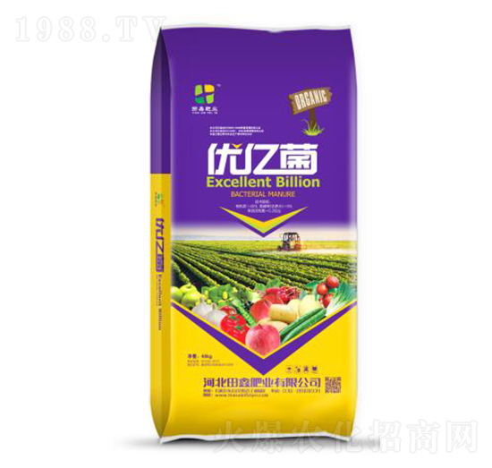 ��(y��u)�|��-���ηʘI(y��)