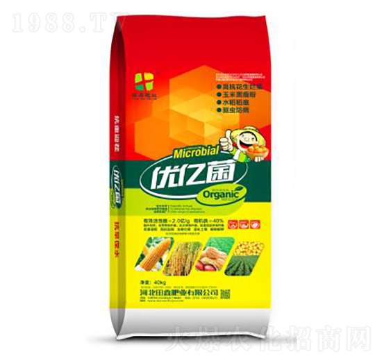 2�|��(y��u)�|��-���ηʘI(y��)