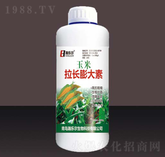 �������L(zh��ng)�����-嫘�(l��)��