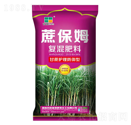 ��(f��)�����21-5-8-�ᱣķ-����