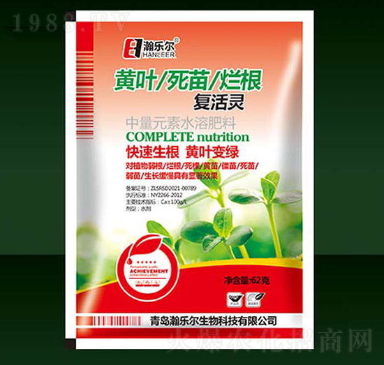 �S�~���砀���ͻ��`-嫘���