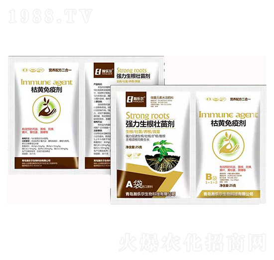 �����������焩+���S���߄�-嫘���