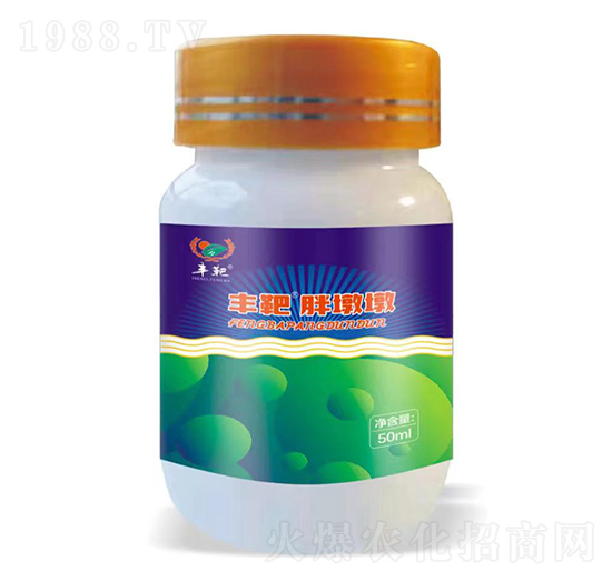 �S���ֶն�-�S������