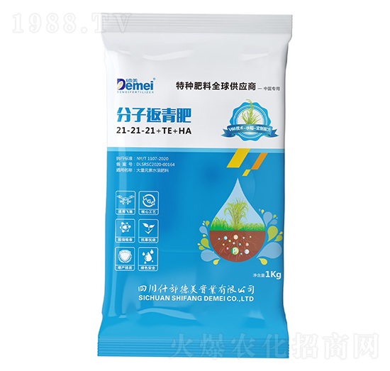 ���ӷ����21-21-21+TE+HA-������(sh��)�I(y��)