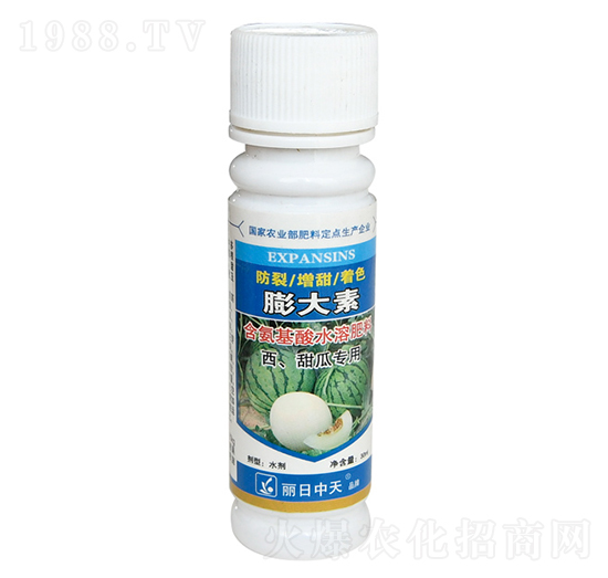 ��������ό���-���������-����ʘI(y��)