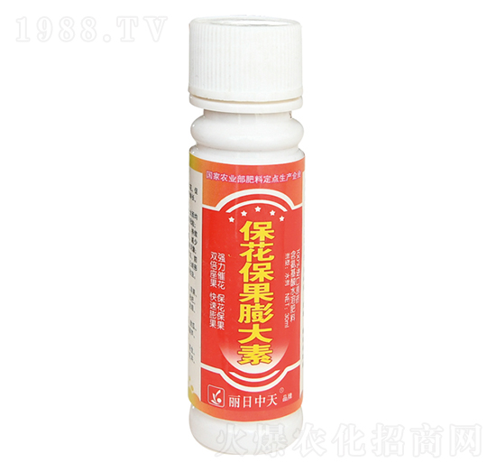 �������������-����ʘI(y��)