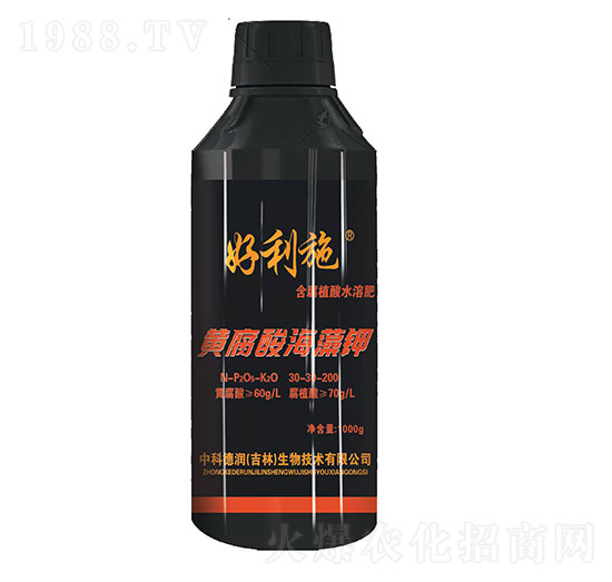 �S���ả���-���ʘI(y��)