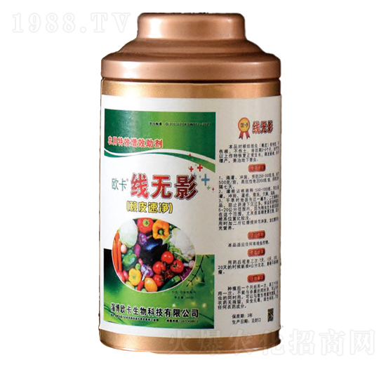 ���oӰ-�W������