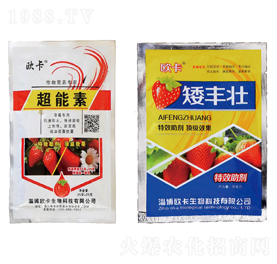 ������+���S��-�W������