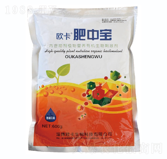 ���Ќ�-�W������