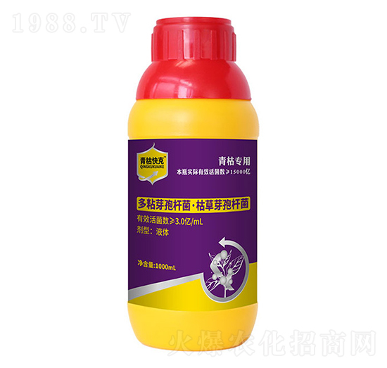 ��ճѿ�ߗU��+�ݲ�ѿ�ߗU��-��ݿ��-�۟o��