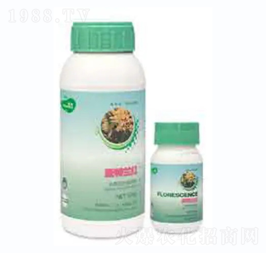 �����m�t-��������