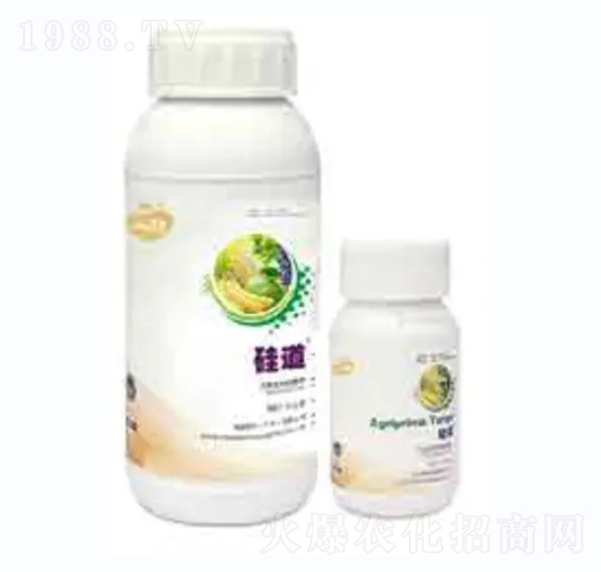 ���-��������