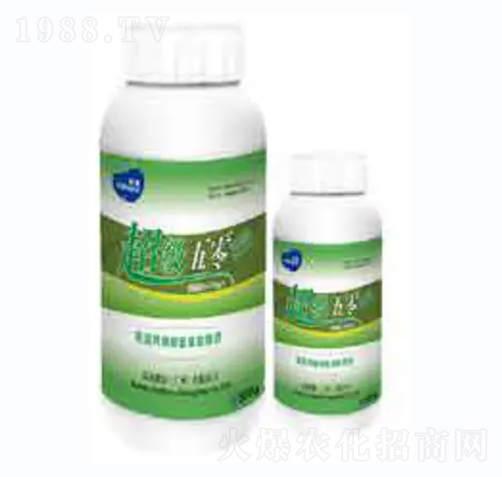 ��������2̖-��������