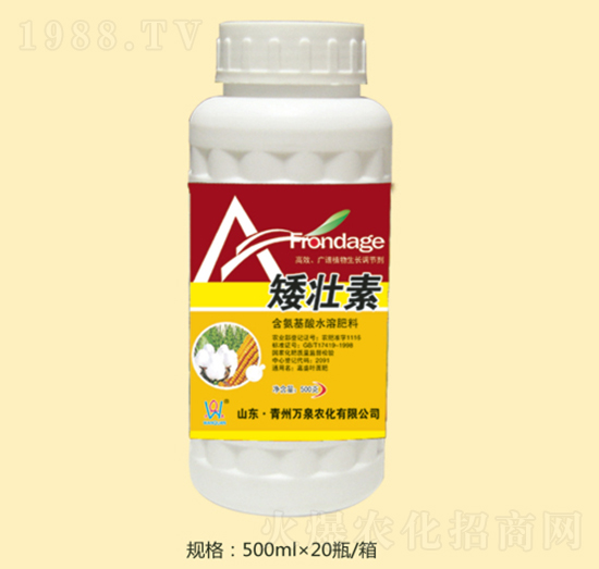 ������-�f(w��n)Ȫ�r(n��ng)��