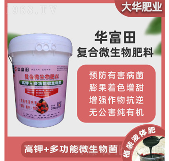 �ͺ�΢�������-���A����