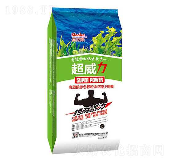 ������-��̩�tţ