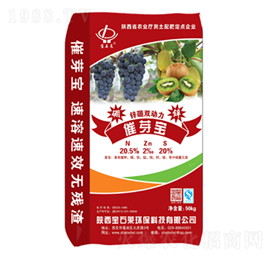 ��ѿ���\���p����-��ʯ�R