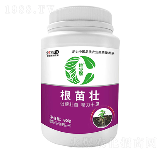 �����-��֥��-������