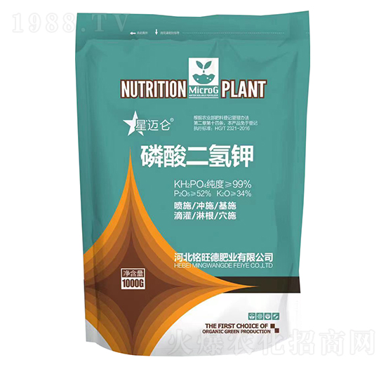 ��������-���~��-����·ʘI(y��)