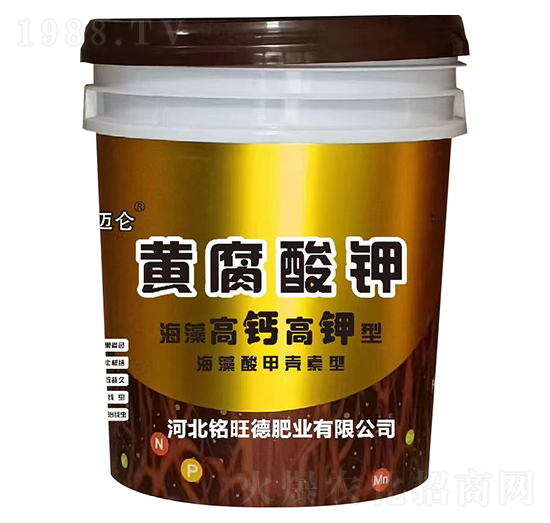 ������}������S�����-���~��-����·ʘI(y��)