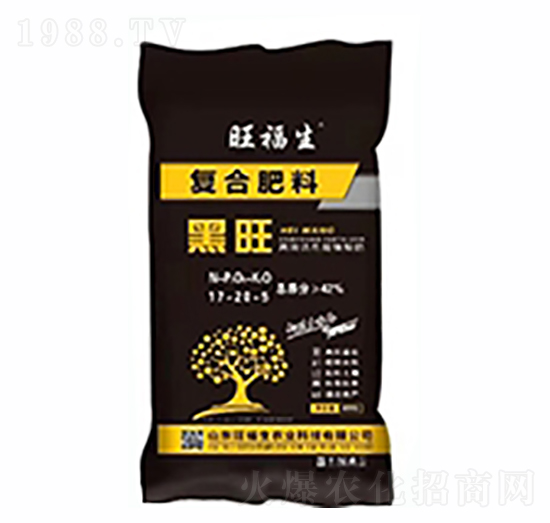 �ͺϷ���-����-������