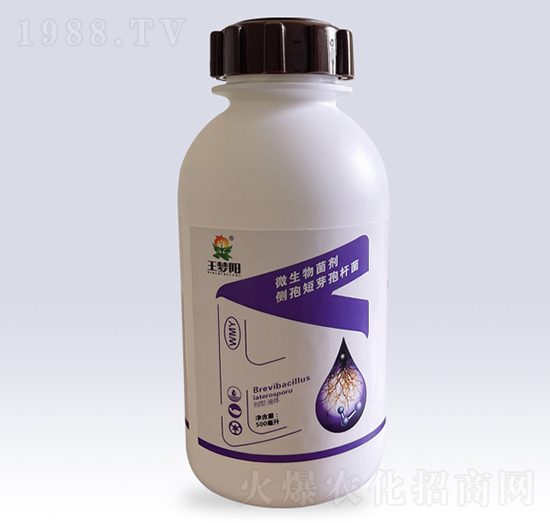 ΢���������(c��)�߶�ѿ�ߗU��-�����-��¡���