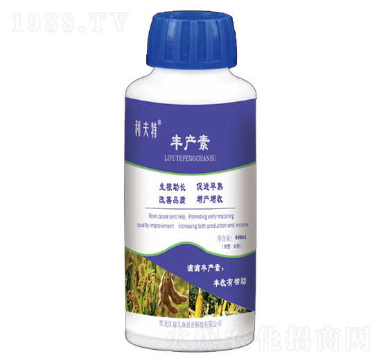 �S�a��-�����r�I(y��)