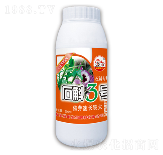 ʯ��3̖-ʢ������