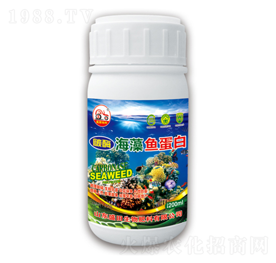 �����~(y��)����-ʢ������