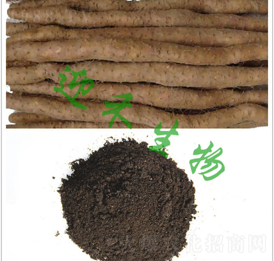 ��ɽˎ��(zhu��n)�÷�-ӭ������