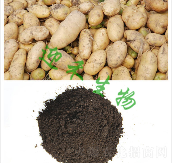 �R��������ЙC(j��)��-ӭ������