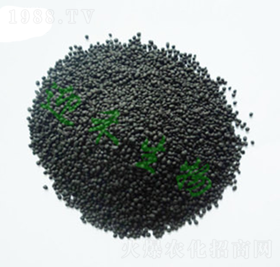 �w���ЙC(j��)�ʣ�С����-ӭ������