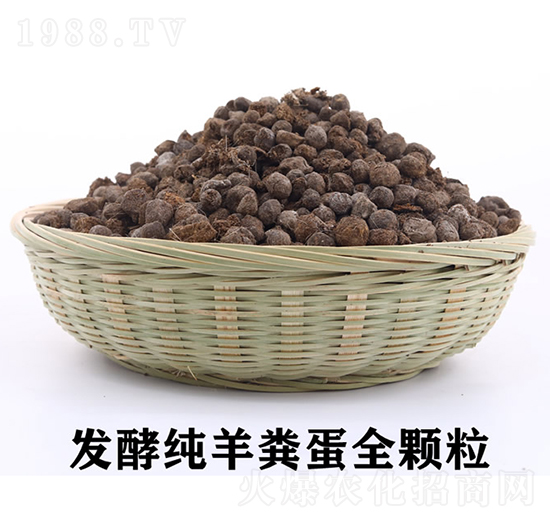 �l(f��)�ͼ���S��ȫ�w��-��������