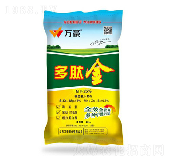 25%���Ľ�-�f���r�I(y��)