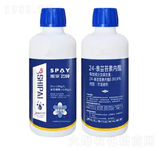 24-���|̦�؃�֬-�|�\-ʩ������