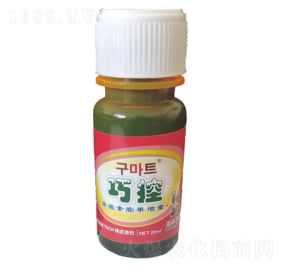 �ɿ�-�Ȭ����H��