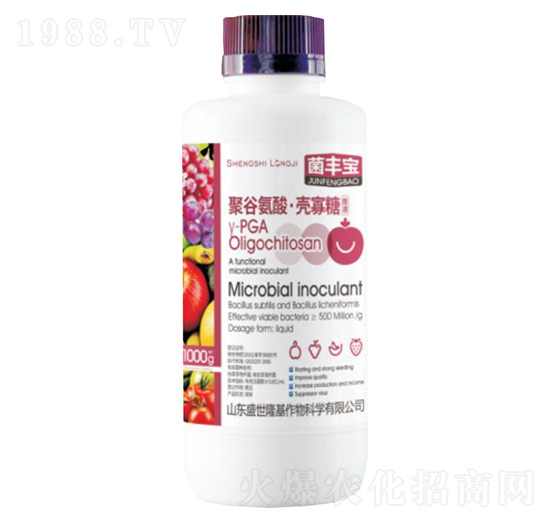 �۹Ȱ��ᡤ������-ʢ��¡��