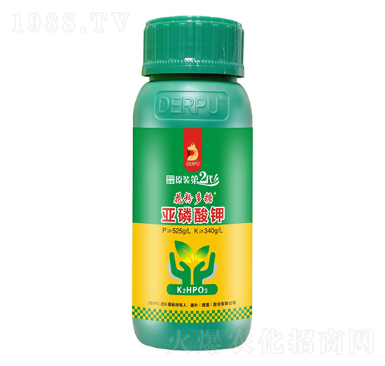 �������-���۶���-��