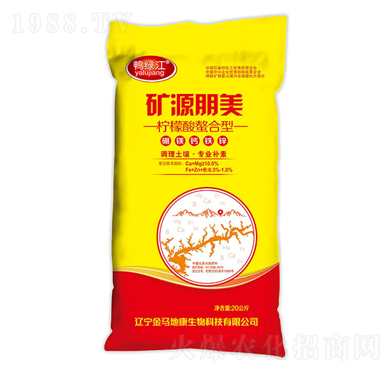 ���������������V�}�F�\-�VԴ����-���R�ؿ�