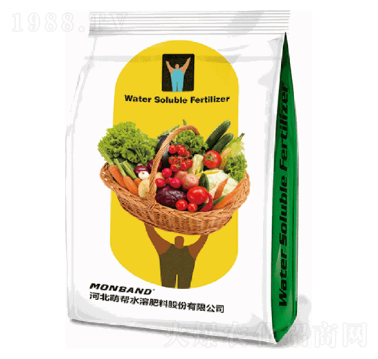 ��Ҏ(gu��)-�Ȏ�