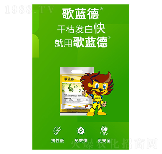 ���{(l��n)��-�����A��