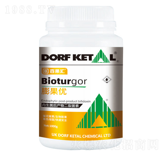 �����(y��u)-����P��