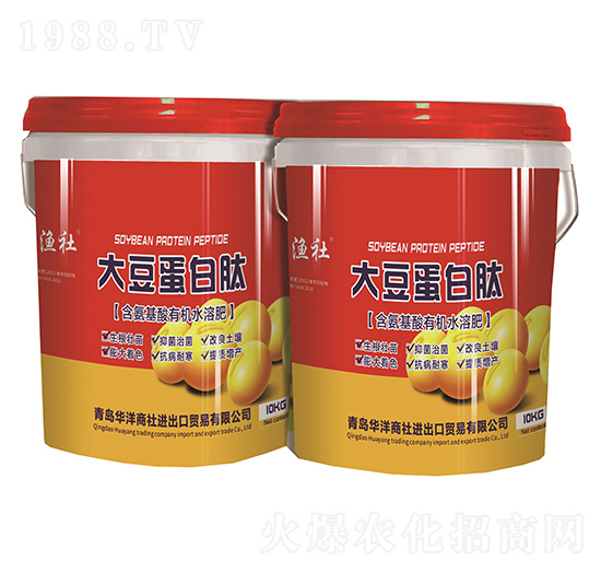 �󶹵�����-�O��-�A������