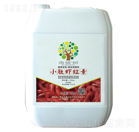 С���r�t��-��ֲ��