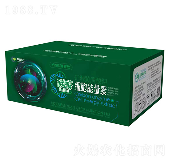 ̼ø���������أ��䣩-Ӣ��-��ɭԪ