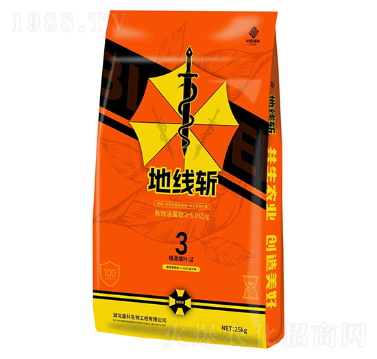 �ؾ���-�в�ʢ��-ʢ������