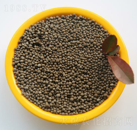 �����ι��-���B��